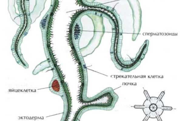 Как зайти на площадку кракен